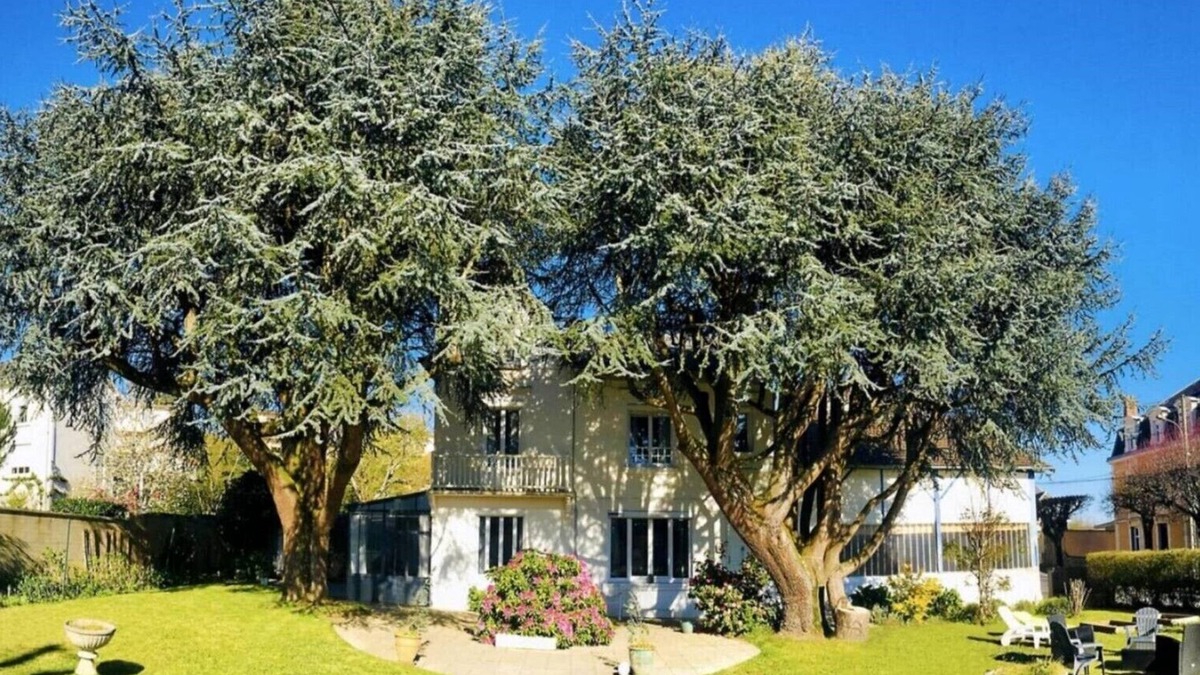 Saint-Junien House | TOWNHOUSE WITH GARDEN IN QUIET NEIGHBORHOOD
