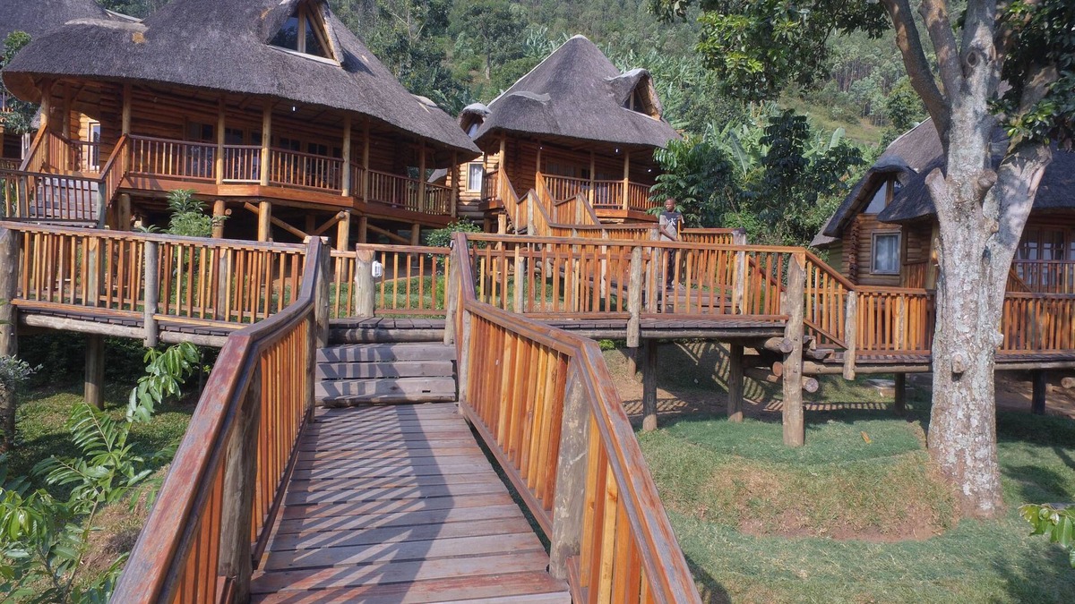 Bwindi Hotel | Trackers Safari Lodge Bwindi