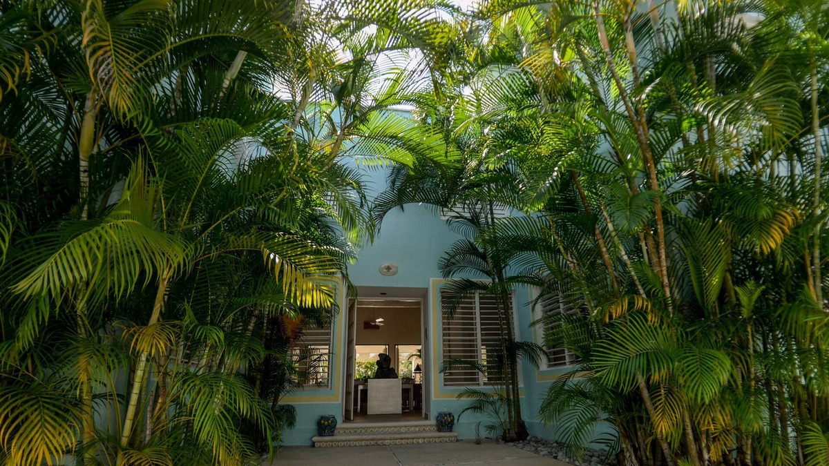 Colonia Independencia House | Traditional large house in Cozumel - Garden and Pool