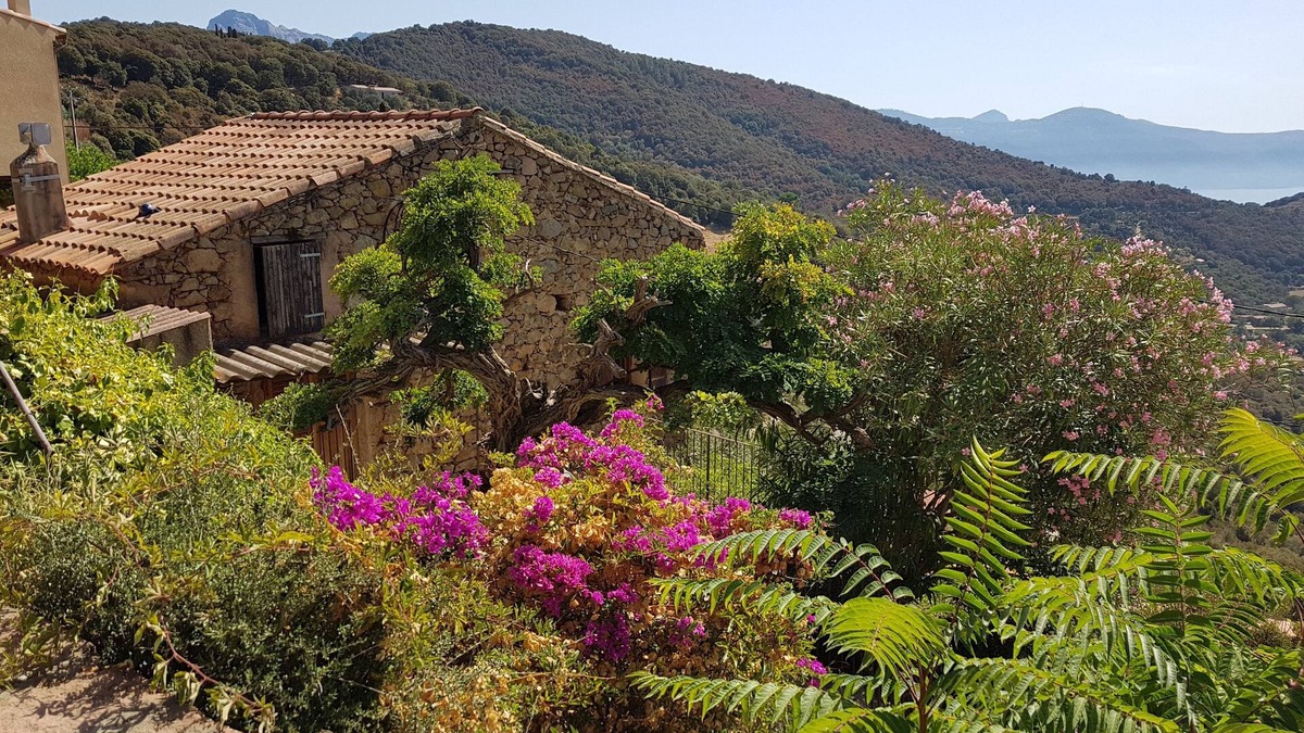 Partinello House | Traditional house, spectacular view of the Gulf of Porto