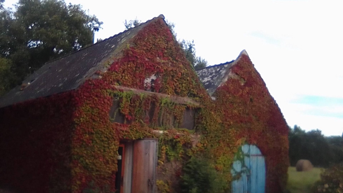 Carnac Cottage | Traditional stone house (renovated in 2022)