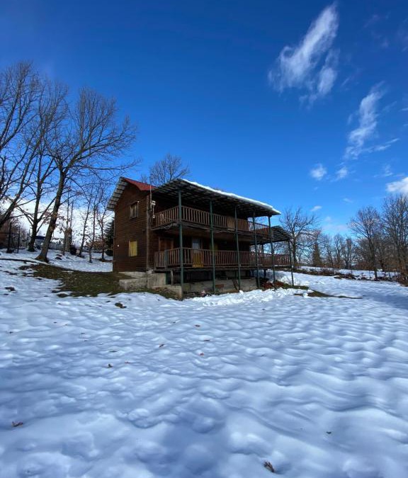 Lake Plastiras Apartment | Traditional Wooden Apartment