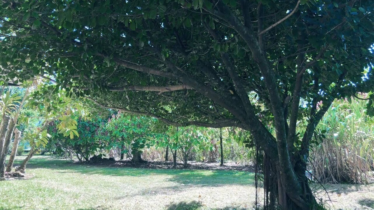 La Vega Province House | Traducción