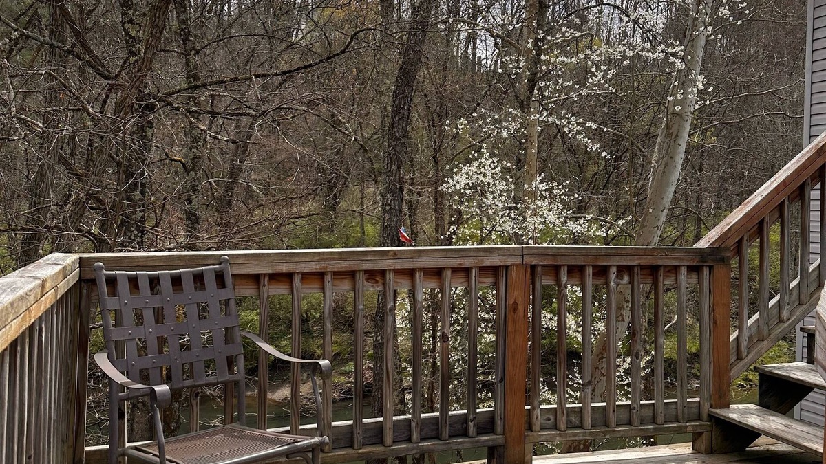 Freeman Apartment | Trail 10 Hideaway, Entire Apartment in Freeman, WV