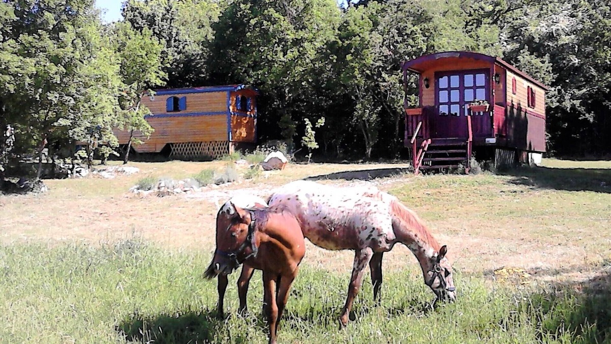 Blandas House | Trailer hire between the Cevennes and the Circus Navacelle La Bleue