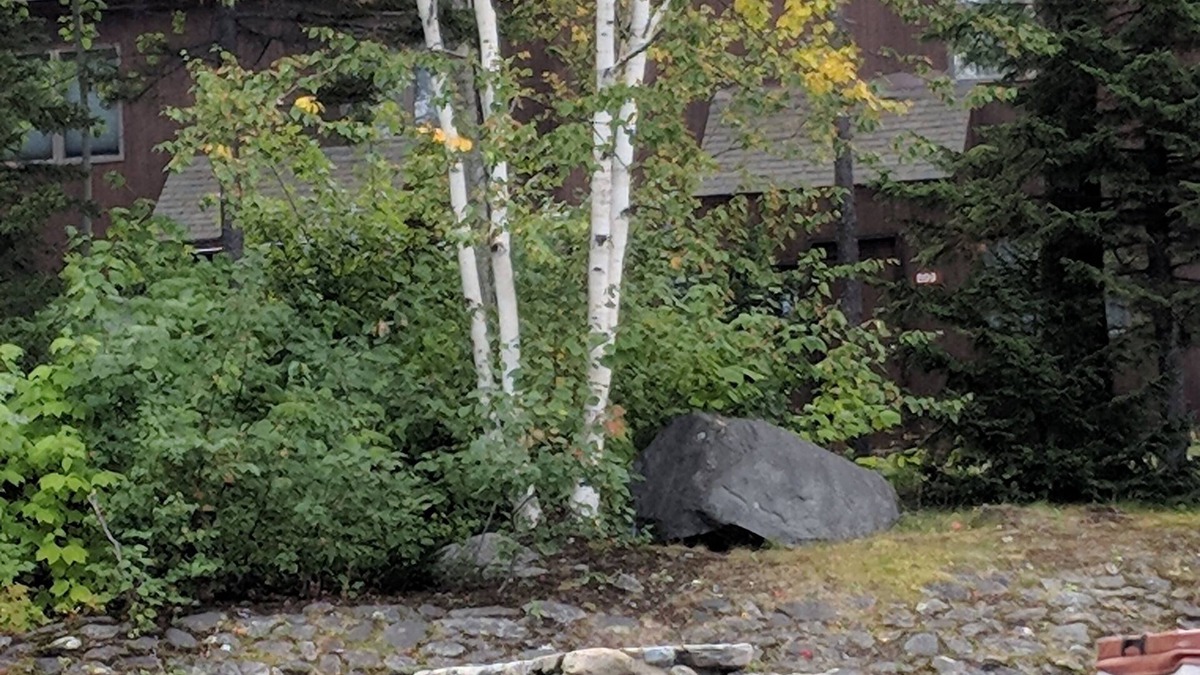 Carrabassett Valley Condo | Trailside condo. Great for families.