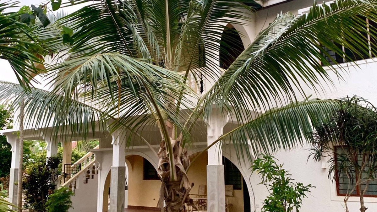 Watamu House | Tranquil 2-bedroom vacation home in Watamu with own compound-close to the beach.