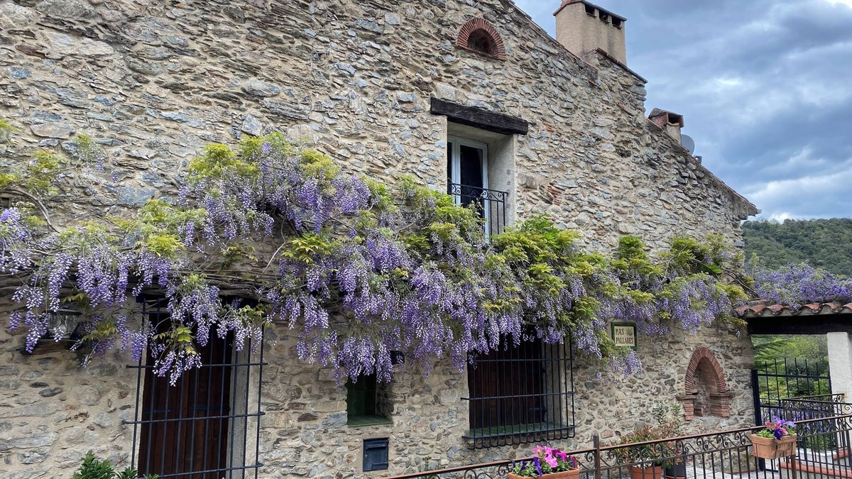 Reynes Apartment | Tranquil apartment in an ancient Mas between the Pyrenees and the Mediterranean