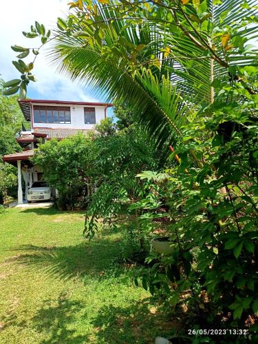 Gonawala House | Tranquil at Airport Reach