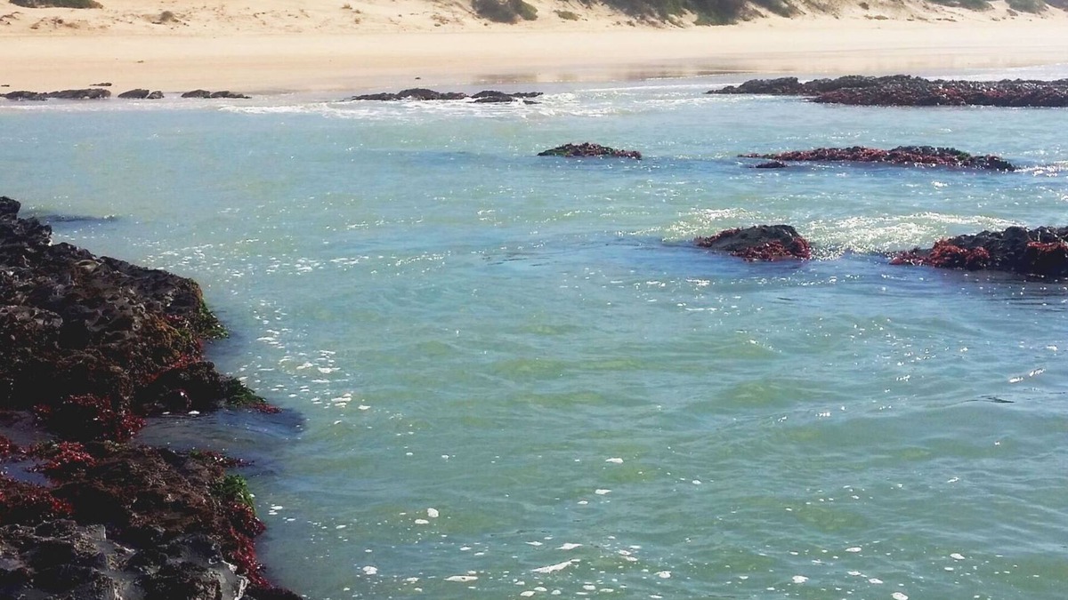 Paradise Beach Apartment | TRANQUIL BEACH SETTING CLOSE TO WORLD FAMOUS SURFING VENUES AND AIRPORT.