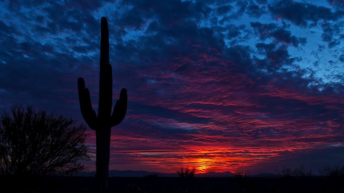 Florence RV Rental | Tranquil Bell tent near Tucson