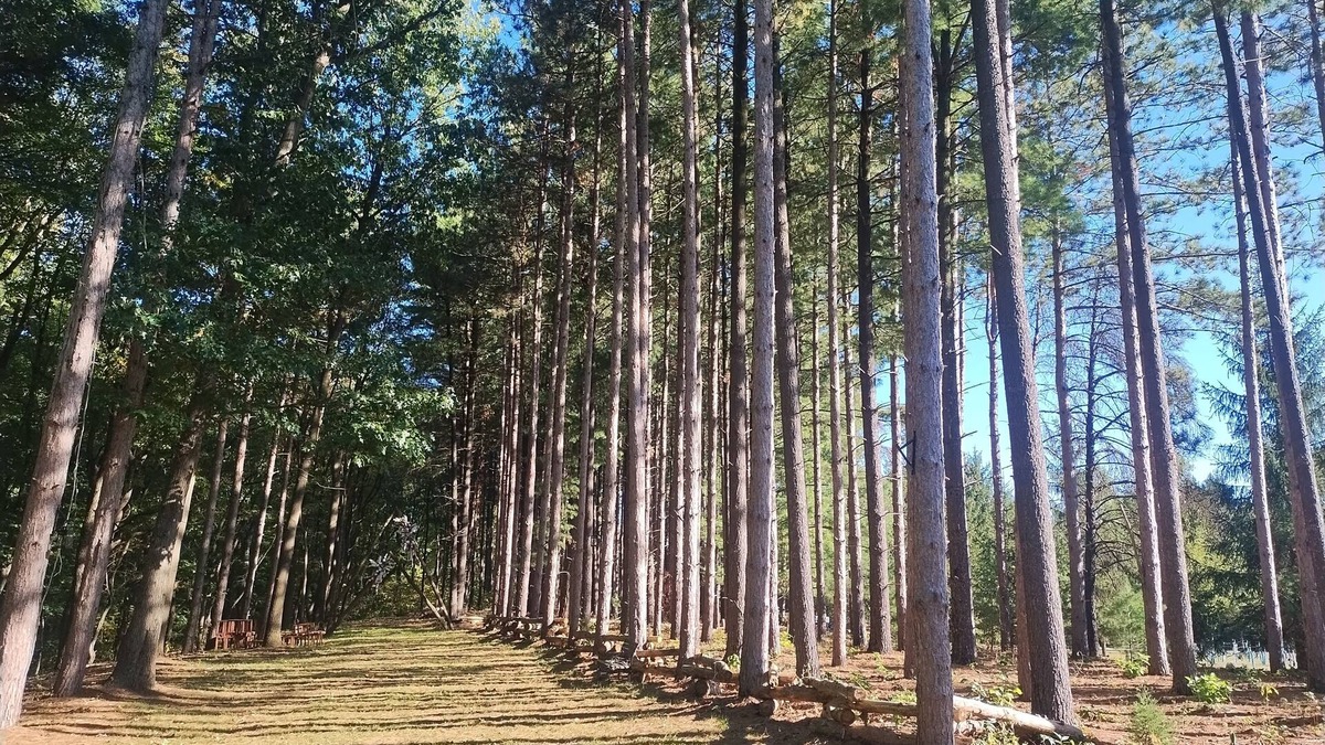 Donaldson Apartment | Tranquil Country Stay Among Pinesn6 miles from Culver. 39 mile from Notre Dame.