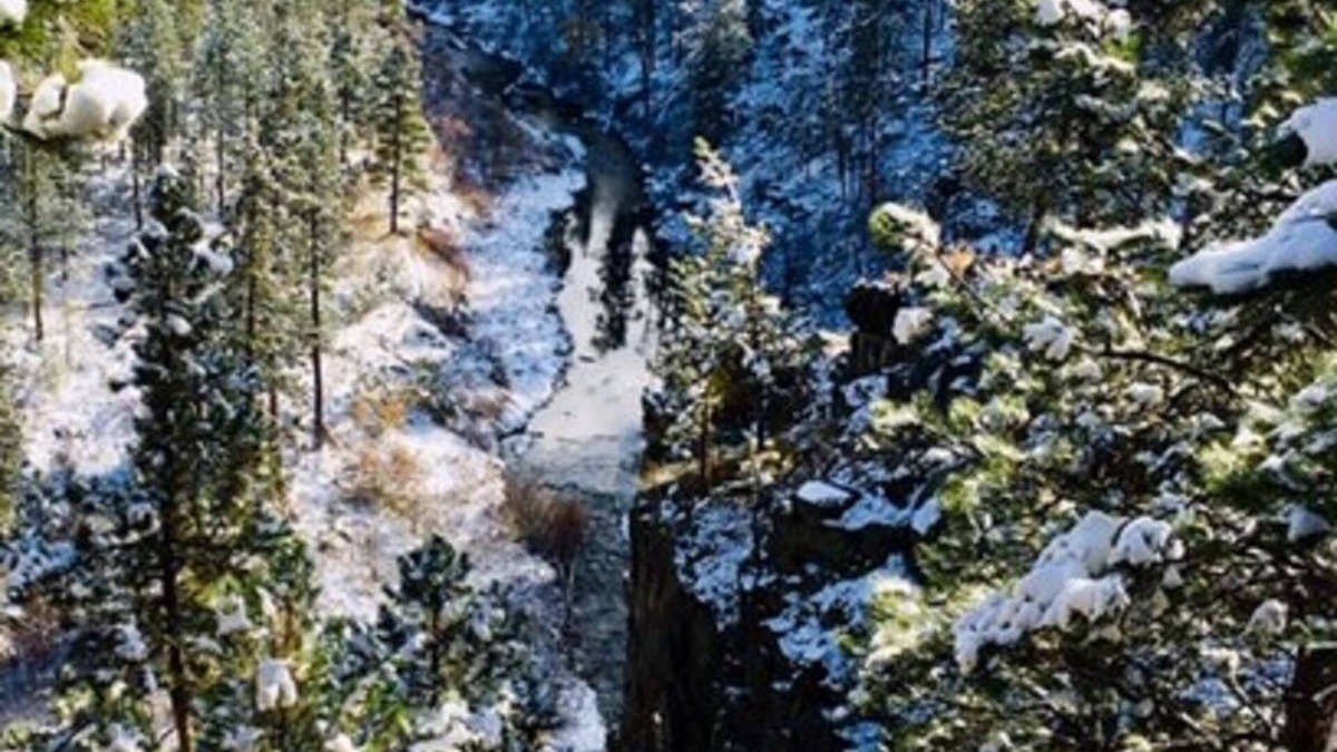Hill City Cabin | Tranquil Creekside Cottage in the Heart of the Beautiful Black Hills