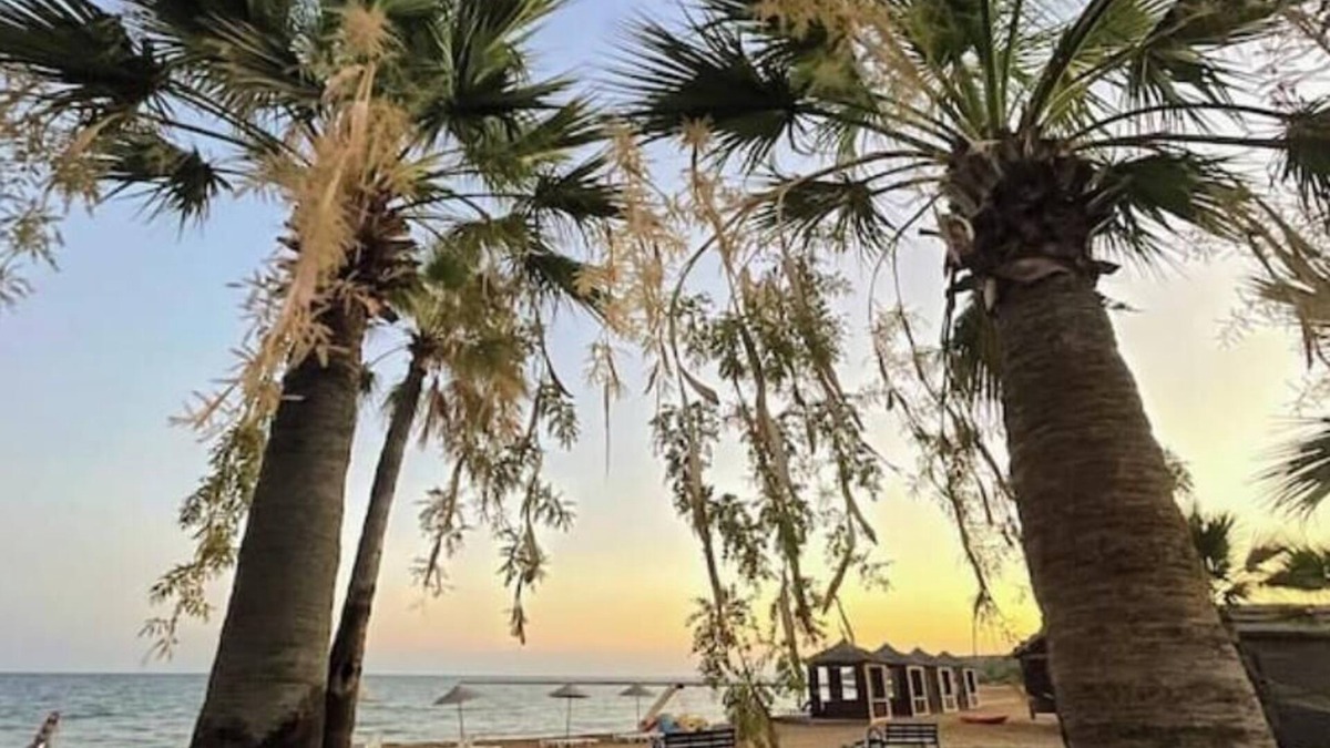 Bafra Resort | Tranquil Escape Suite by the Sea