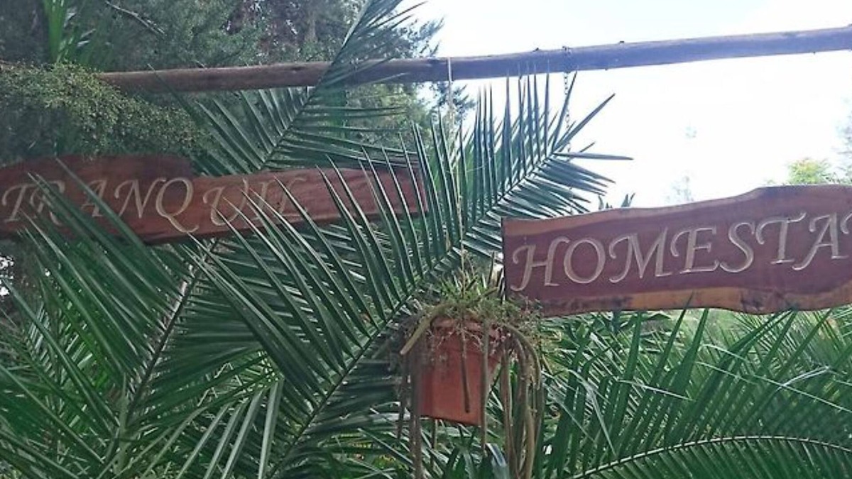 Naro Moru Hotel | Tranquil Homestay