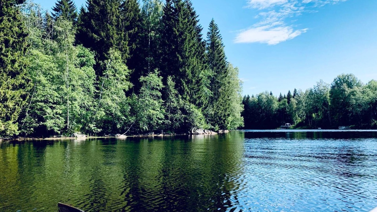 Avesta Cottage | Tranquil Lakeside Cottage Retreat