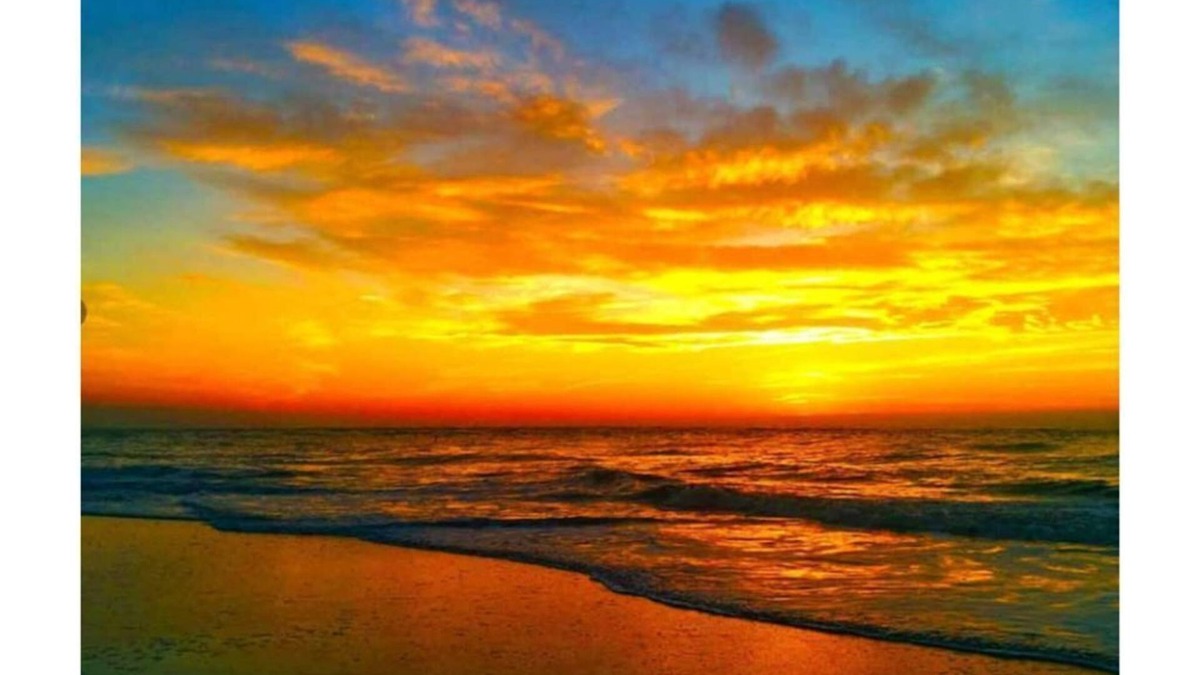 Pass-a-Grille Historic District Condo | Tranquil setting one bedroom condo on Pass a grille beach