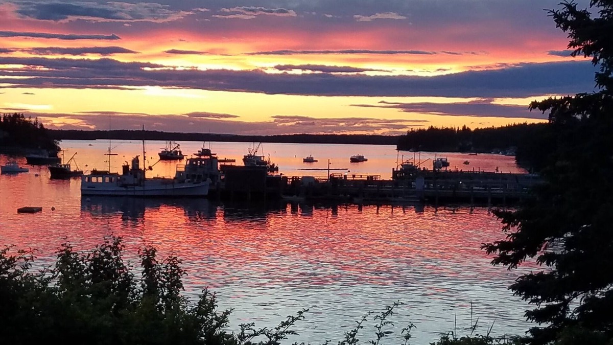 Tenants Harbor Apartment | "Tranquility Base" is a place where you can lose yourself in nature.