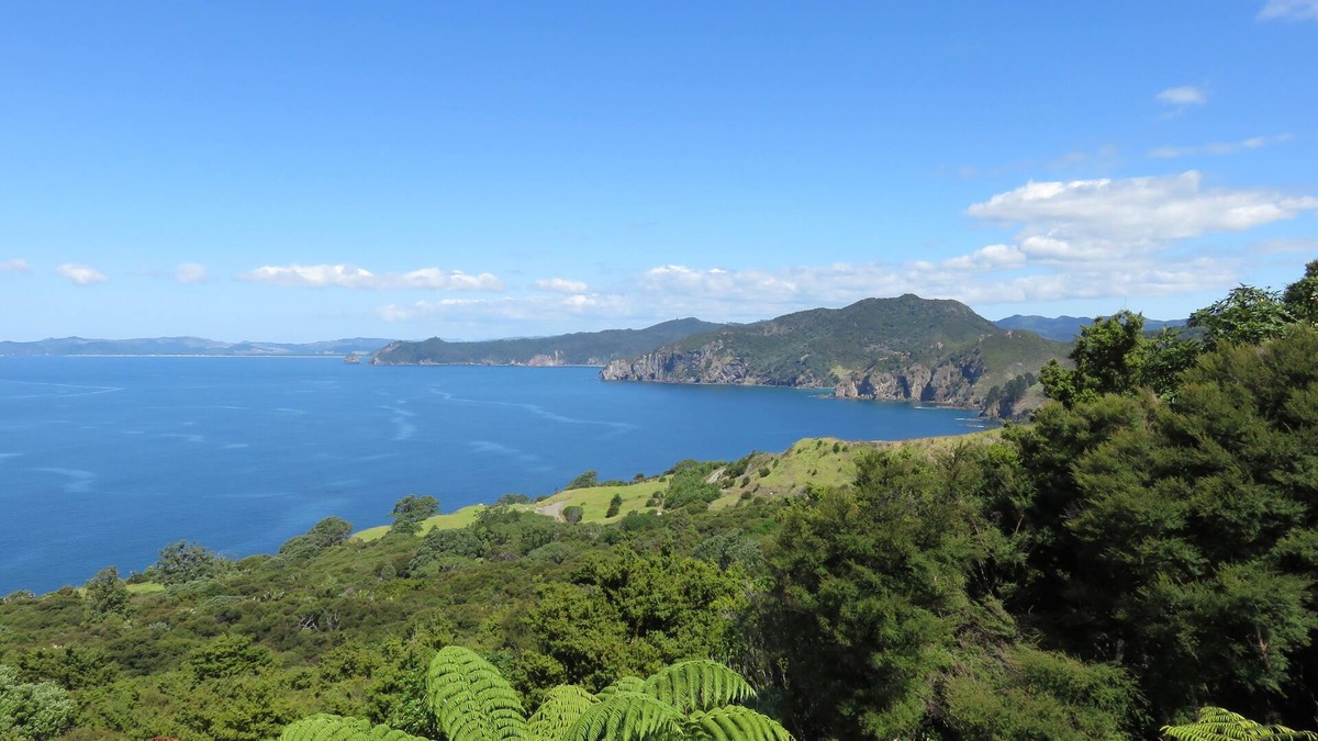 Tuateawa House | Tranquility Base ~ Northern Coromandel