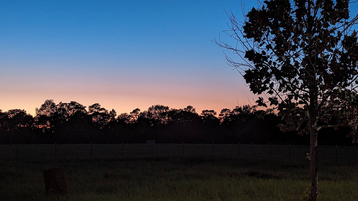Rusk House | Tranquility East