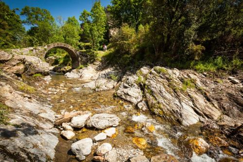 Saint-Privat-de-Vallongue Bed & Breakfast | Transgardon B&B en Cévennes
