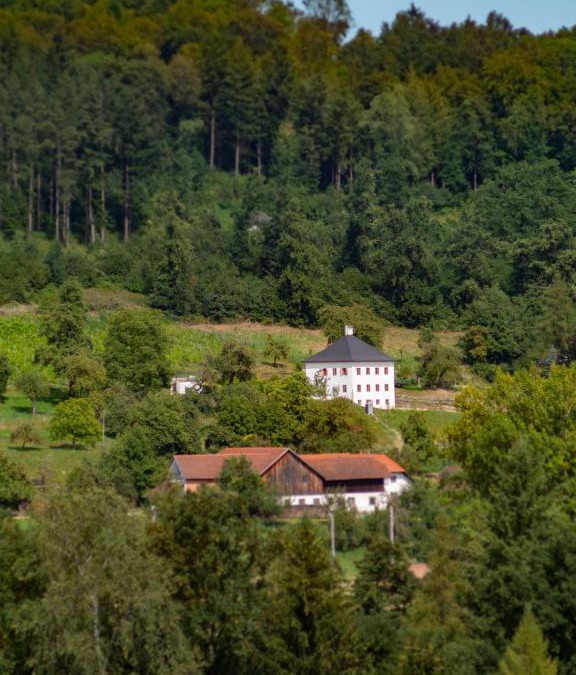 Schlußlberg House | Trattnachtaler Weinhaus