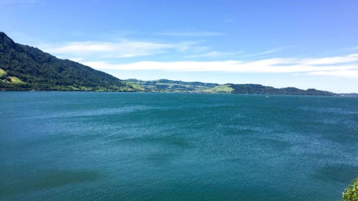 Arth Apartment | Traumwohnung, grosse Terrasse, direkt am Zuger See