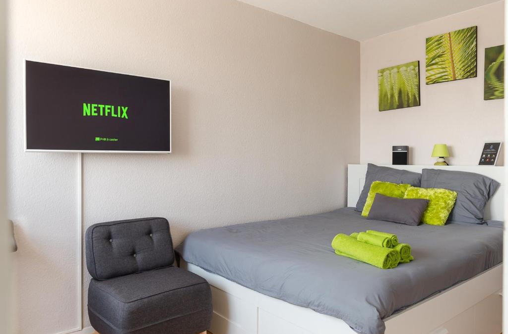 Mulhouse Apartment | Travel Homes - Le Wilson, face à la gare