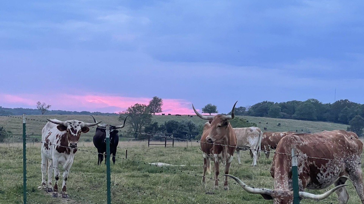 Elkland House | Travel Trailer Farm Getaway!