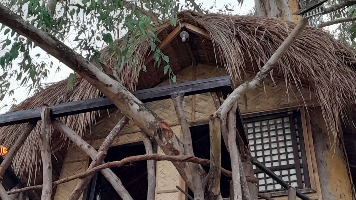 Castillejos Apartment | Traveler's Treehouse near Mapanuepe Lake