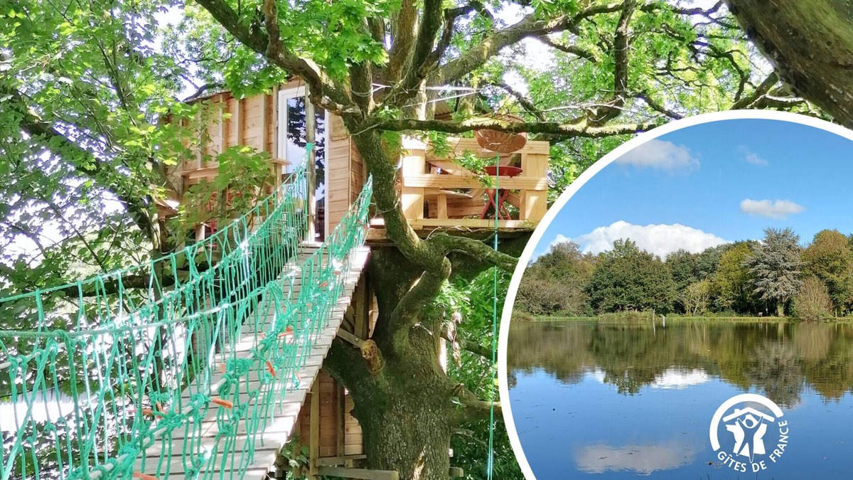 Saint-Thomas-de-Courceriers Bed & Breakfast | "Treehouse Retreat with Pool, Farm Animals & Fishing in Saint-Thomas-de-Courceriers"