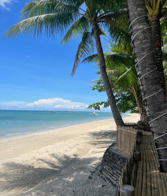 Carles House | Treasure Beach Resort
