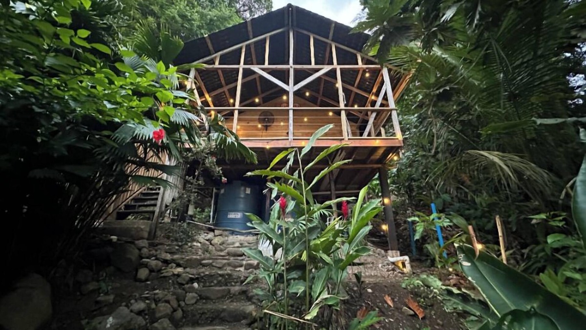Isla Bastimentos Cabin | TREE FROG HOUSE: Waterfront, Caribbean Island Jungle Cabin in Bastimentos w/AC