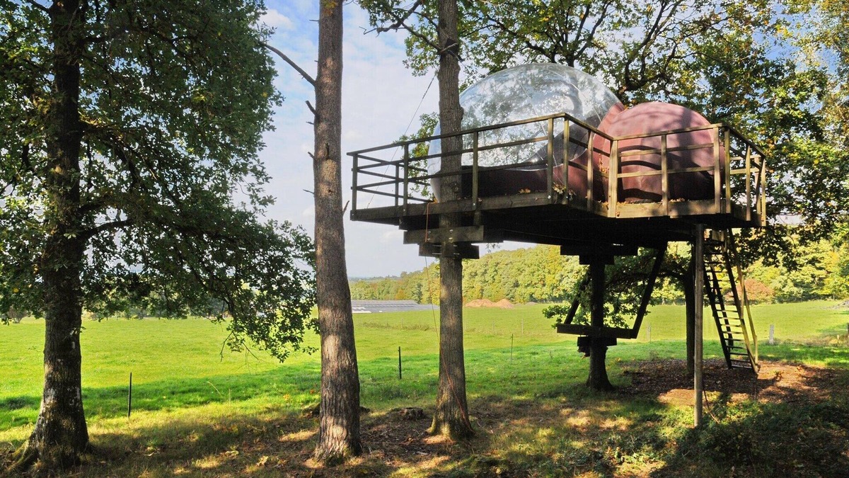 Erezee House | Tree Glamping in Fisenne with Ardennes View
