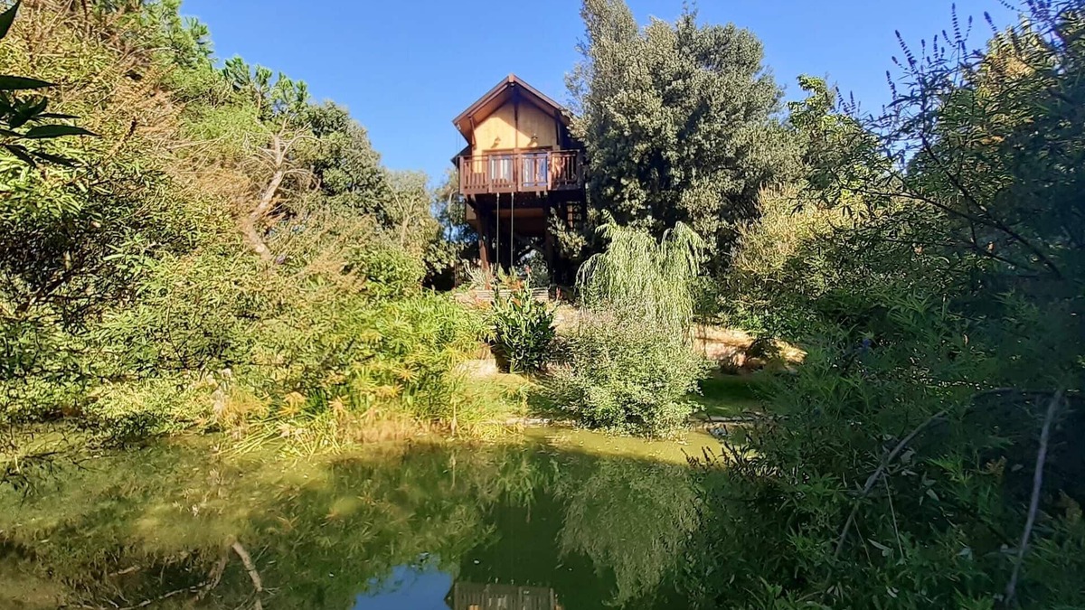 Vitellino House | Tree House Awen of La Bandita Farmhouse
