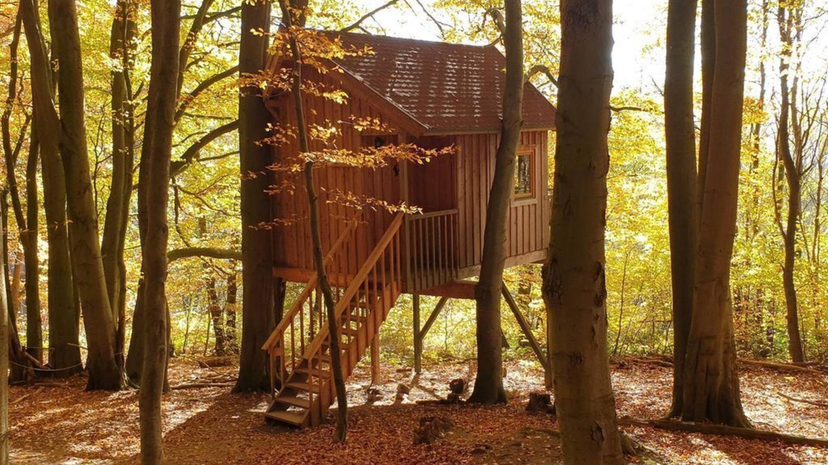 Solling Apartment | Tree house Ahletal, living/bedroom - Baumhaushotel Solling
