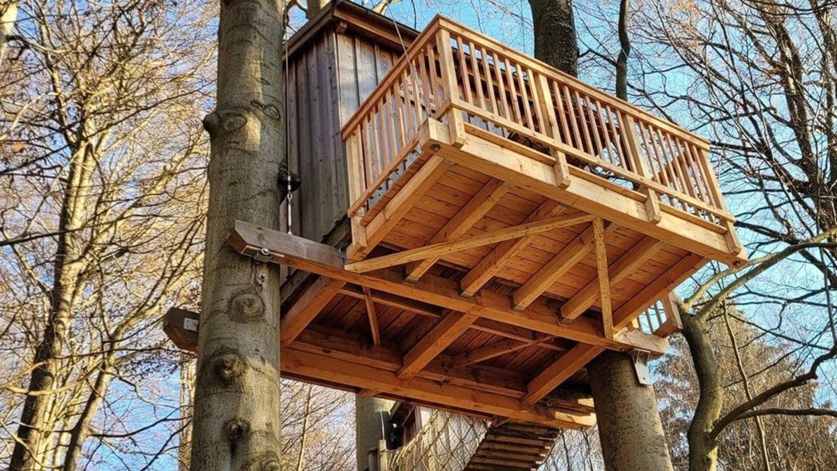 Northeim District Apartment | Tree house Baumtraum, living/sleeping room - Baumhaushotel Solling