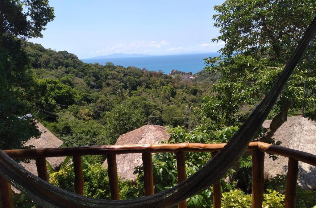 Koh Tao Hotel | Tree House Bungalows Koh Tao