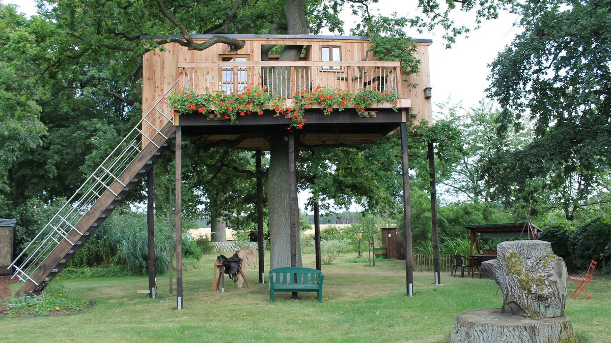 Thielitz House | Tree house in 200-year-old oak - share with all the other tree dwellers KEINEHUNDE