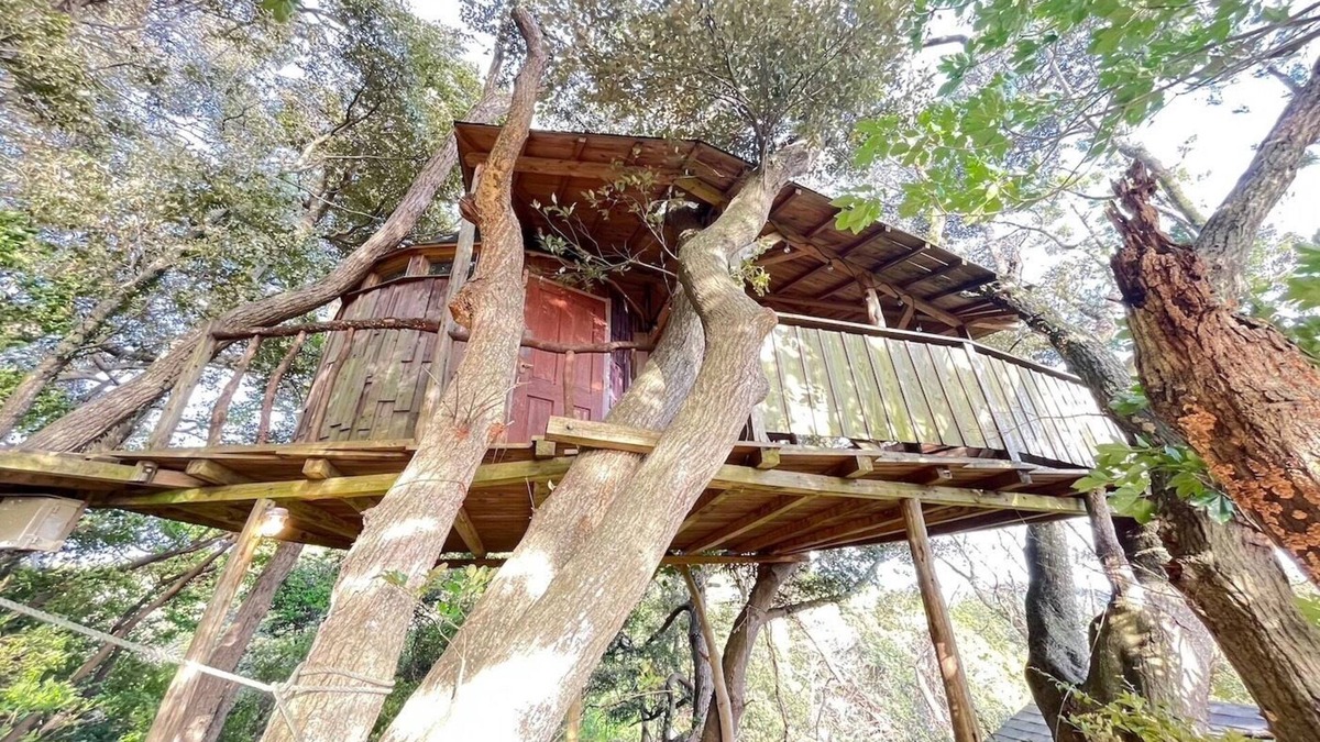 Otaki RV Rental | Tree House/Isumi County Chiba