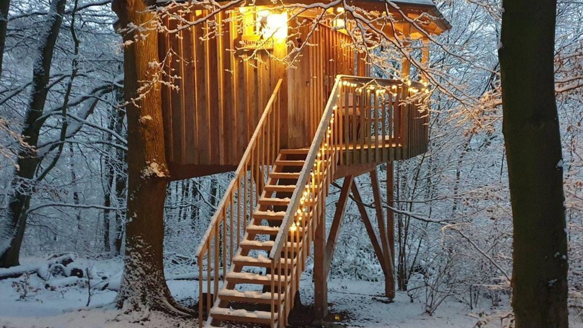 Uslar Apartment | Tree house round house, living/sleeping area - Baumhaushotel Solling