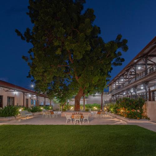 Valabhipur Resort | Tree of Life Darbargadh Dared