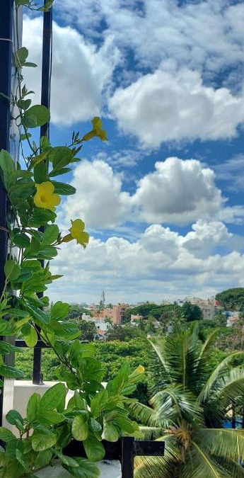 Bengaluru Apartment | Tree Top