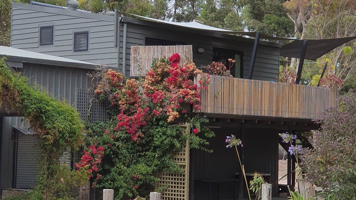 Pink Lake Apartment | Tree Top Upstairs Apartment
