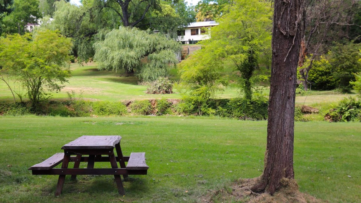 Wandiligong House | Tree View Cottage - Tranquil on the creek