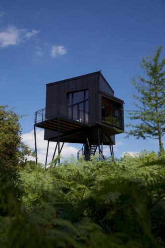 Odenthal House | Treeangle - K1 Baumhaus