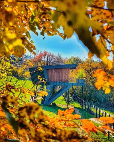 Ziar nad Hronom District Ski Chalet | Treedom