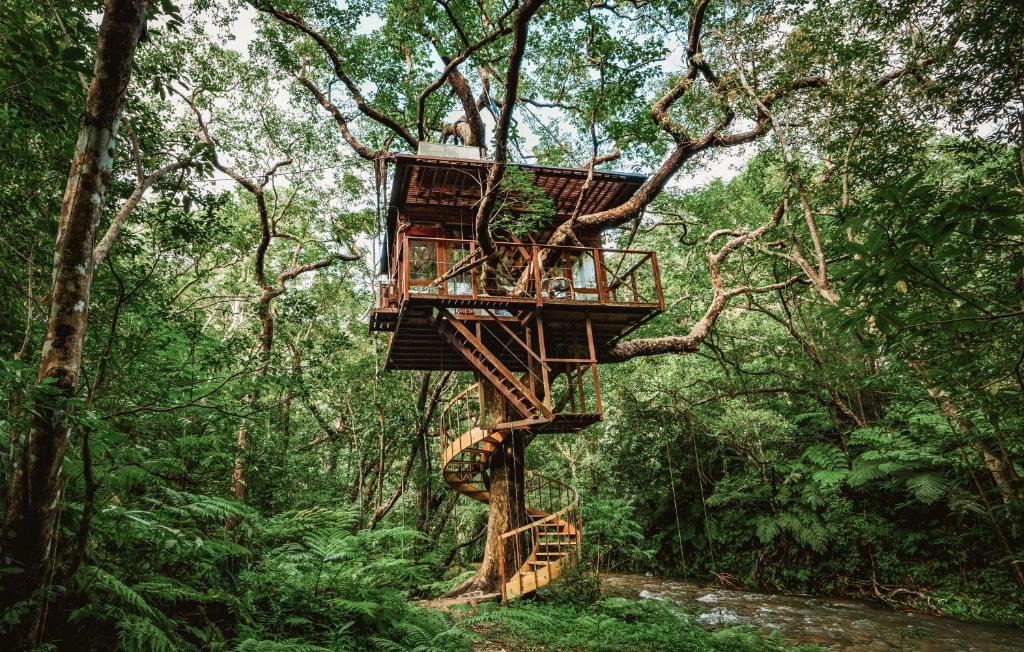 Genka Hotel | Treeful Treehouse Sustainable Resort
