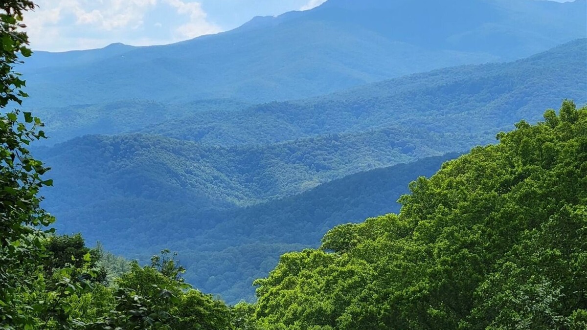 Apple Ridge House | Treehaven 2BR/2.5 BA Upscale Home near Blowing Rock