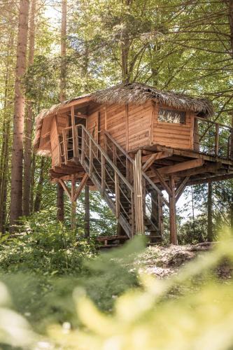 Volary Other | Treehouse Šumava